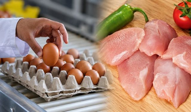 TÜİK: Tavuk eti üretimi azaldı, yumurta ve içme sütü üretimi arttı