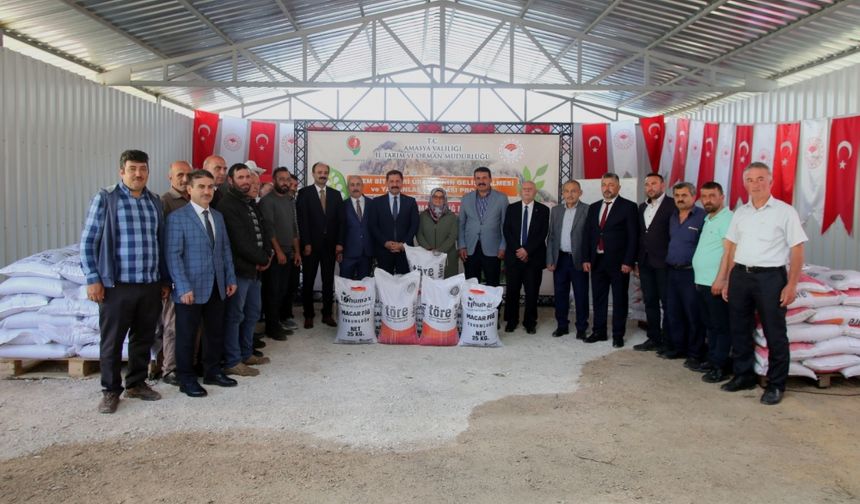 Amasya'da çiftçilere 60 ton Macar fiği ve yem bezelyesi tohumu dağıtıldı