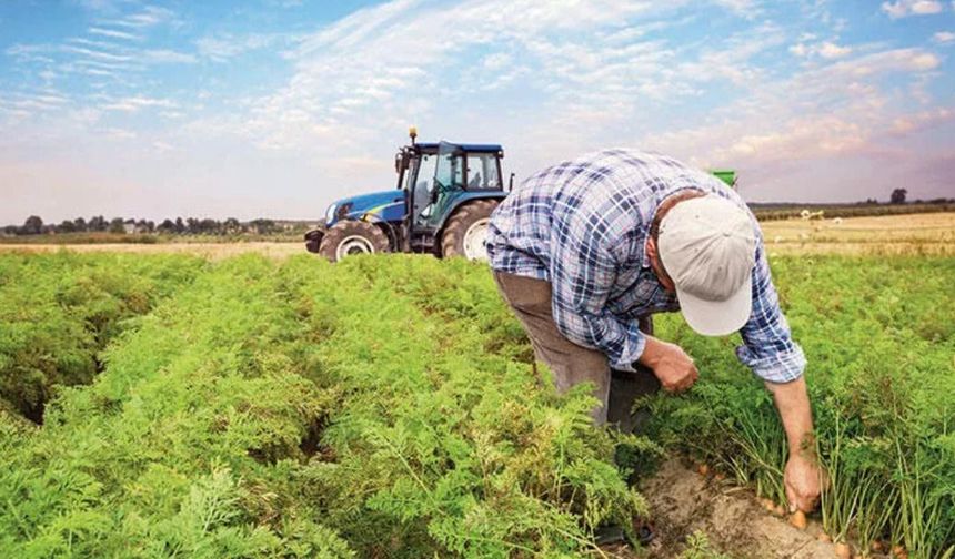 "Toprağıma Minnettarım" projesiyle çiftçiler egitim görüyor
