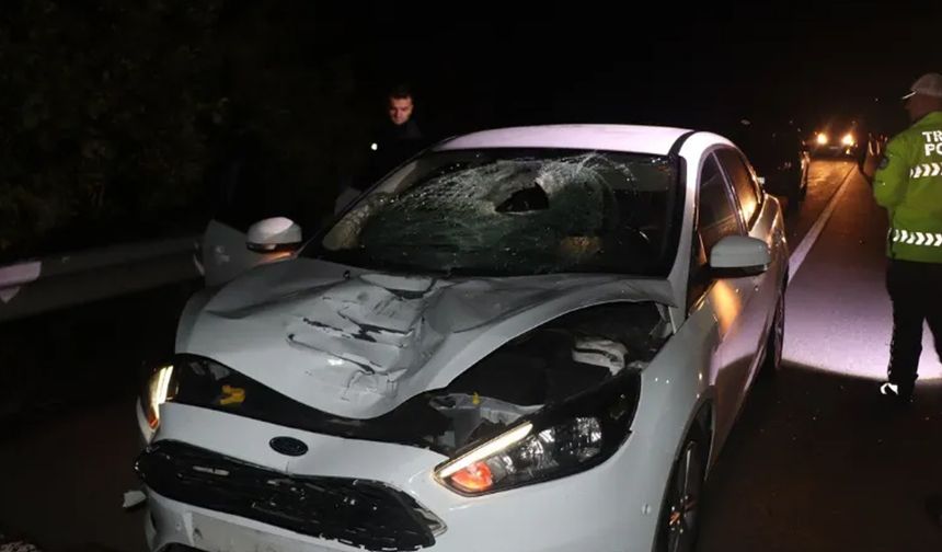 Rize'de otomobilin çarptığı kadın öldü