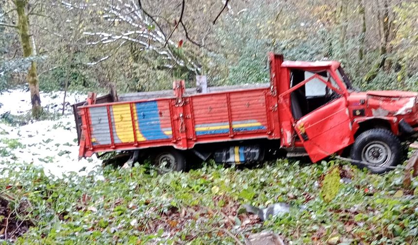 Rize'de uçuruma yuvarlanan kamyonetin sürücüsü öldü