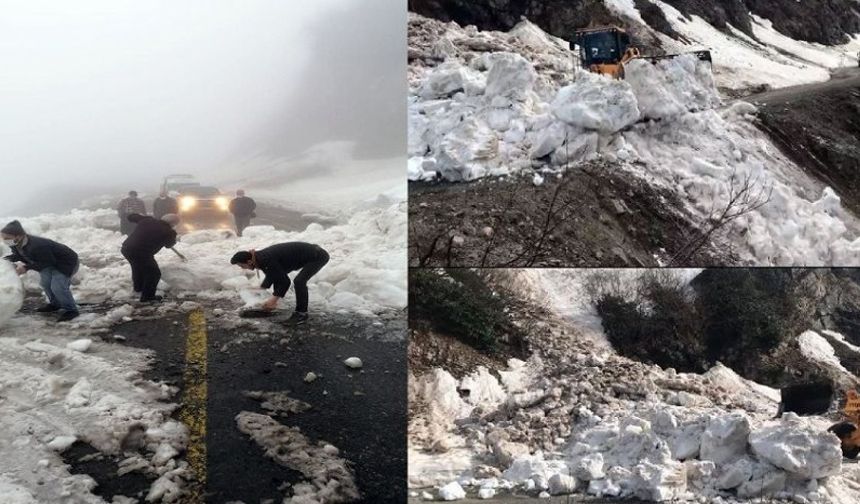 Artvin'de çığ nedeniyle Borçka-Camili kara yolu ulaşıma kapandı