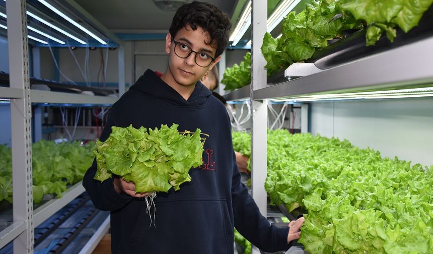 Meslek lisesi öğrencileri topraksız tarımla sebze yetiştiriyor