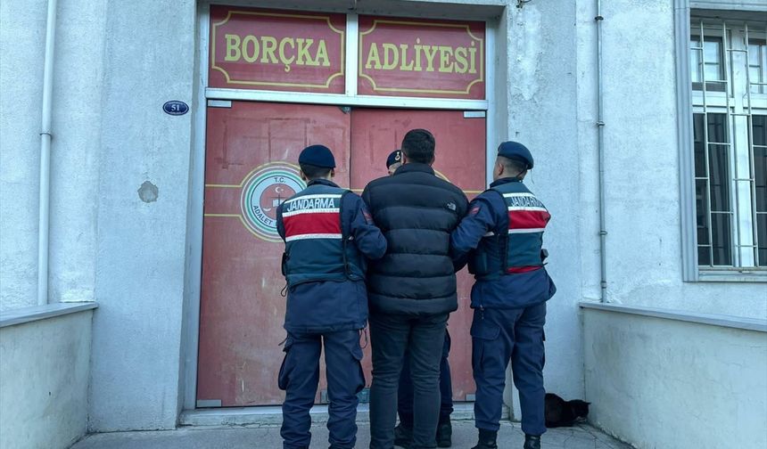 Ormanda izinsiz yapılan kesimle ilgili kooperatif başkanı gözaltına alındı