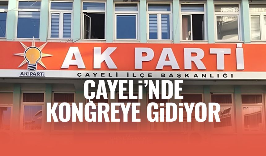 Çayeli İlçe Başkanı kim olacağı merakla bekleniyor!