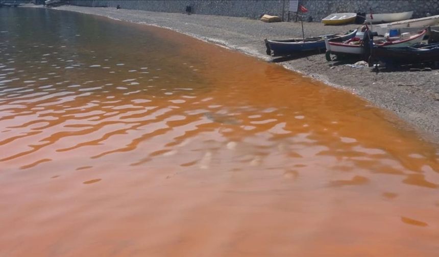 Karadeniz'in derinlerindeki ısınma Marmara'da alg patlamalarını tetikleyebilir