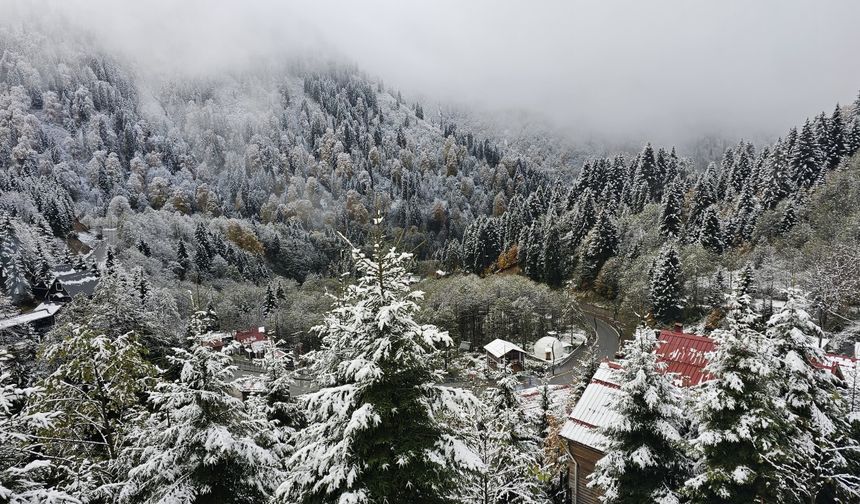 Rize'nin yüksek kesimleri kar yağışı sonrası beyaza büründü