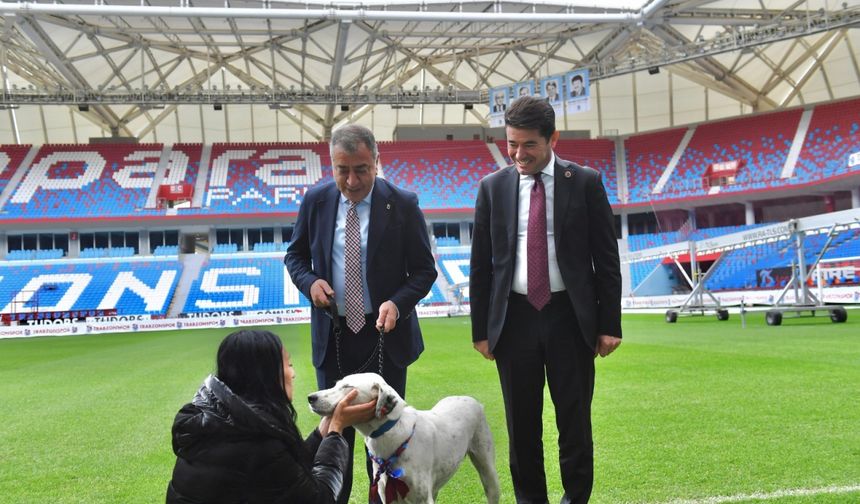 Trabzonspor Kulübü, Fenerbahçe maçı öncesinde sahaya giren köpeği sahiplendi