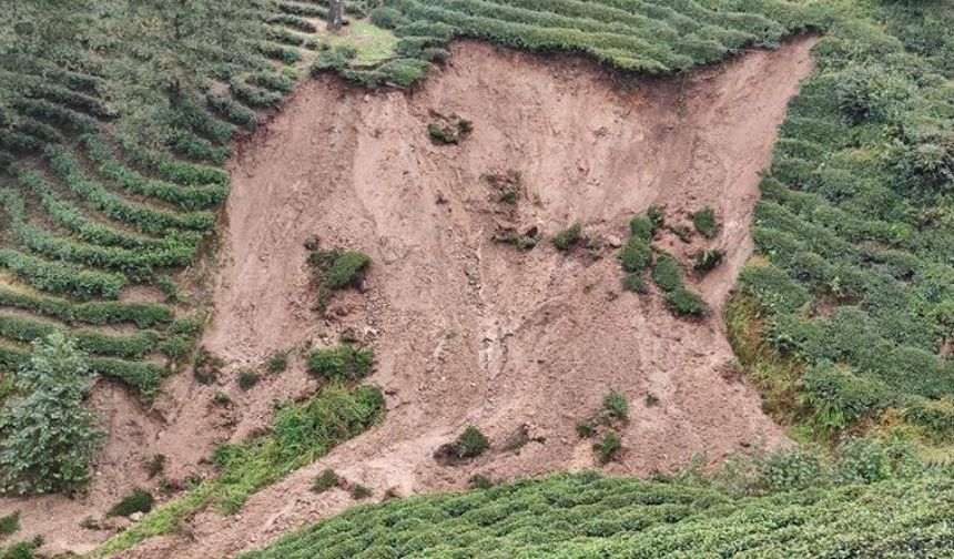 Rize'de Zarar Gören Tarımsal Alanlarda Hasar Tespit Çalışmaları Devam Ediyor