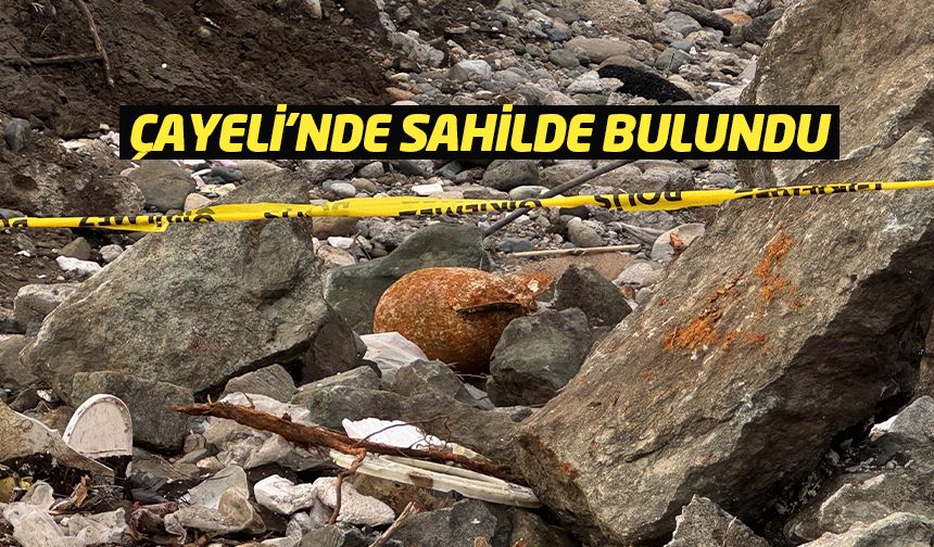 Çayeli'nde sahilinde patlamamış mühimmat bulundu