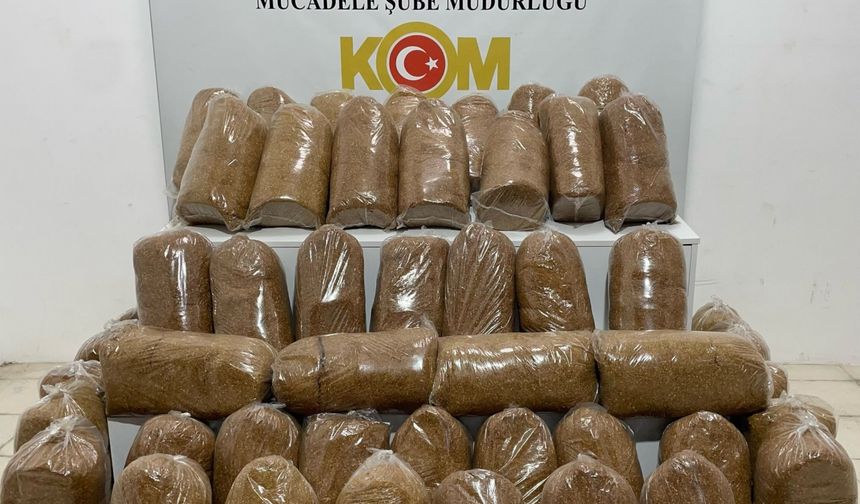 Samsun'da 240 kilogram kaçak tütün ele geçirildi
