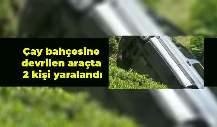 Rize'de hafif ticari aracın çay bahçesine devrildiği kazada 2 kişi yaralandı