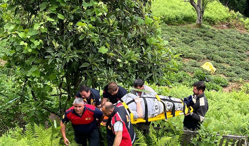 Arhavi Belediyesi’nden Hızlı Müdahale Kazazede Güvenli Şekilde Kurtarıldı