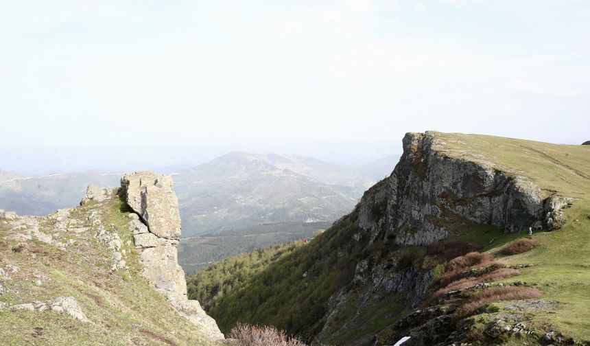 Akarsuları canlanan Sis Dağı Yaylası çiçeklerle renklendi