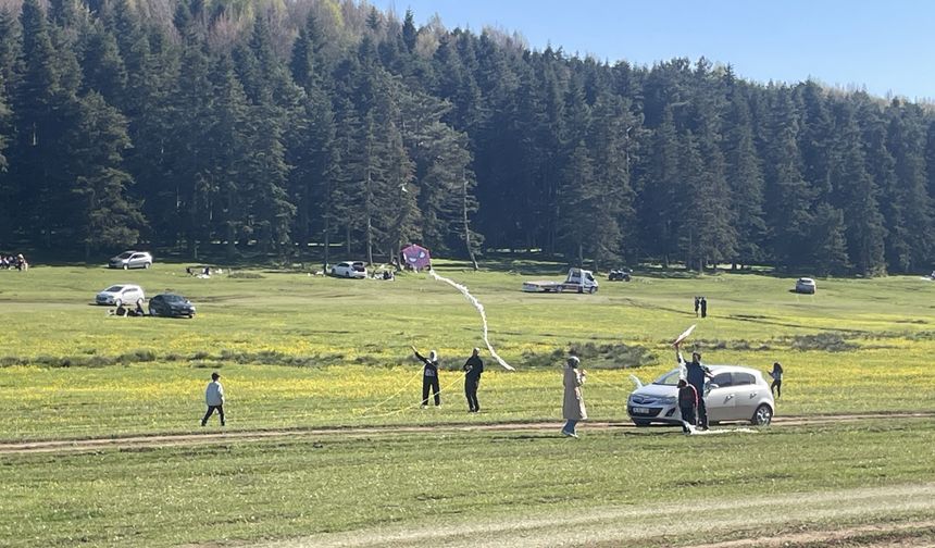 Bolu'daki yaylalar doğayla iç içe vakit geçirmek isteyenleri ağırlıyor