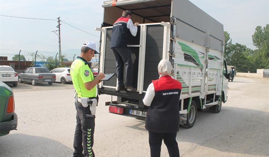 Düzce'de Kurban Bayramı öncesi denetim yapıldı