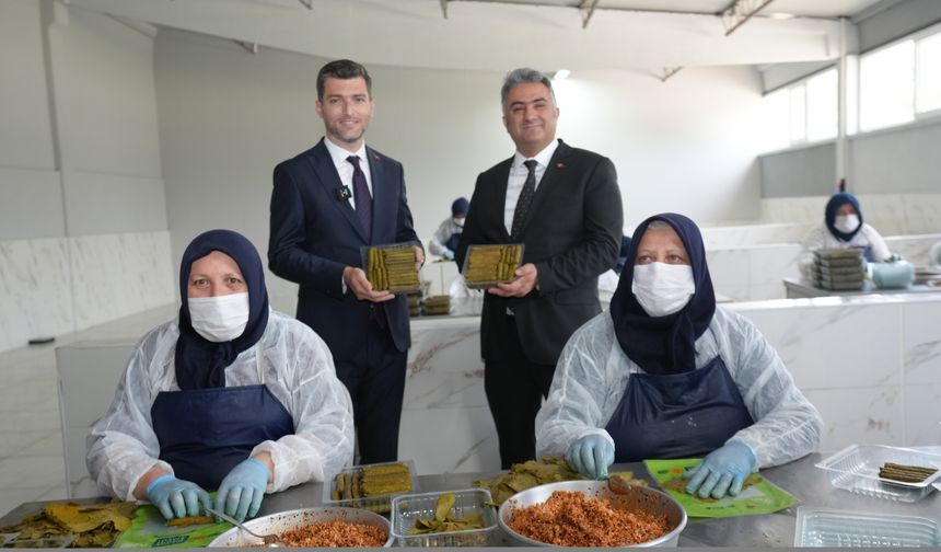 Erbaa'da "coğrafi işaretlere değer katanlara teşekkür belgesi" takdim töreni düzenlendi