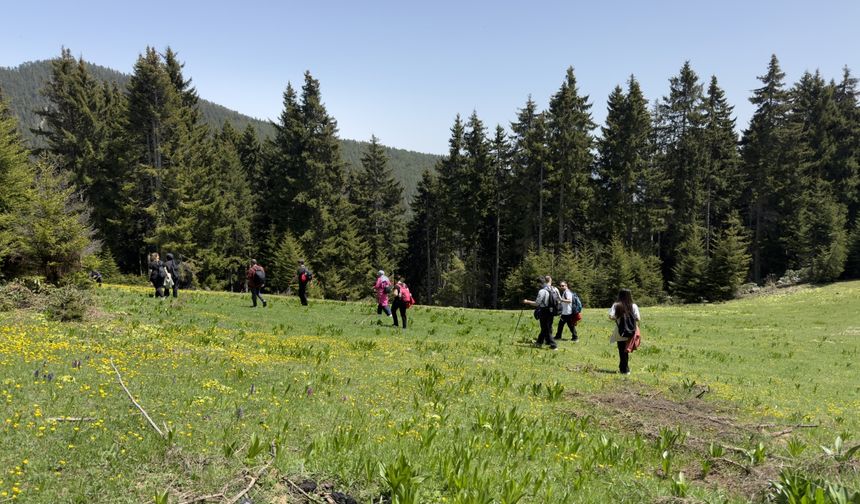Gümüşhane'de doğaseverler yaylalara ilgi gösterdi