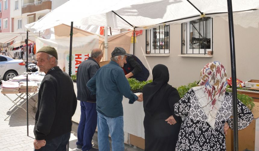 Havza Ziraat Odasında sebze fidesi satışları başladı