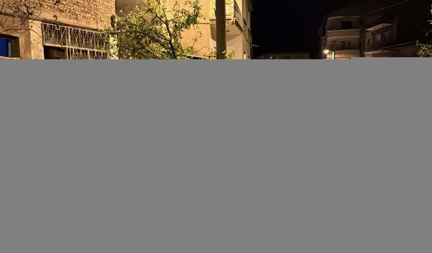 Karabük'te kuvvetli rüzgar etkili oldu