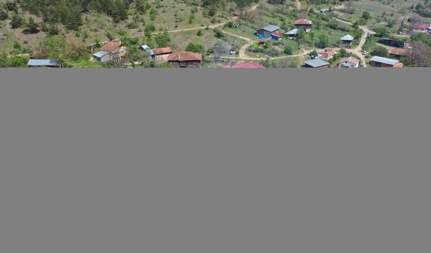 Kastamonu'da cami, ev ve ahırın kullanılamaz hale geldiği yangında 1 kişi yaralandı