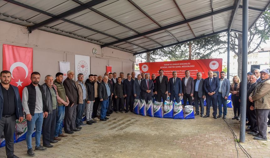 Kastamonu'da "Sorgum Sudan Otu Melezi" bitkisiyle hayvancılıkta yem maliyeti düşürülecek