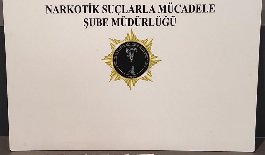 Samsun'da düzenlenen uyuşturucu operasyonunda 2 zanlı yakalandı