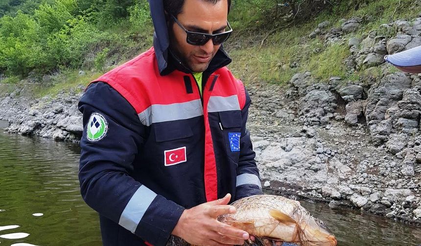 Samsun'da ekipler su kaynaklarında kaçak avcılığı önlemeye çalışıyor