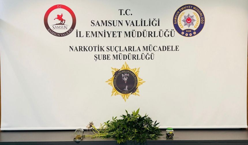 Samsun'da evde kurdukları serada kenevir yetiştiren 2 kişi gözaltına alındı