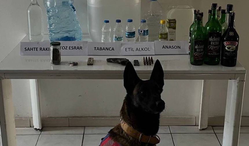 Samsun'da sahte içki operasyonunda bir şüpheli yakalandı