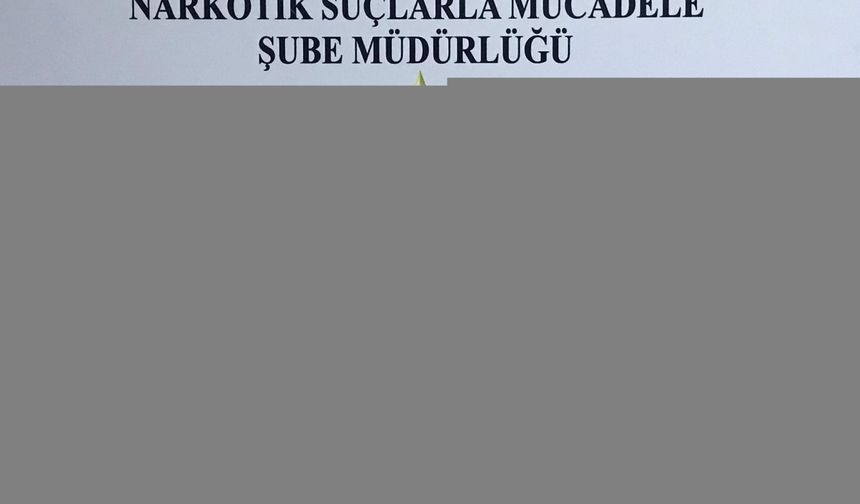 Samsun’da silah kaçakçılığı operasyonunda 2 kişi yakalandı