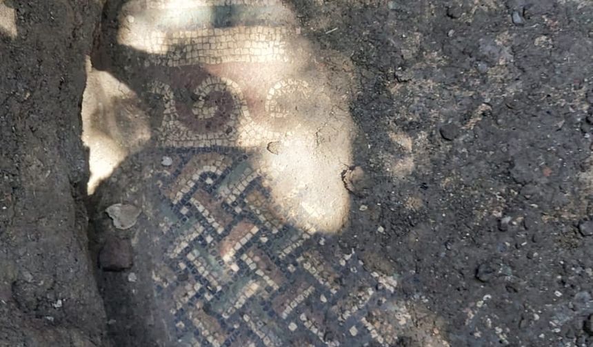 Tokat'ta kaçak kazıda Roma dönemine ait olduğu düşünülen mozaik bulundu, baba ve oğlu tutuklandı