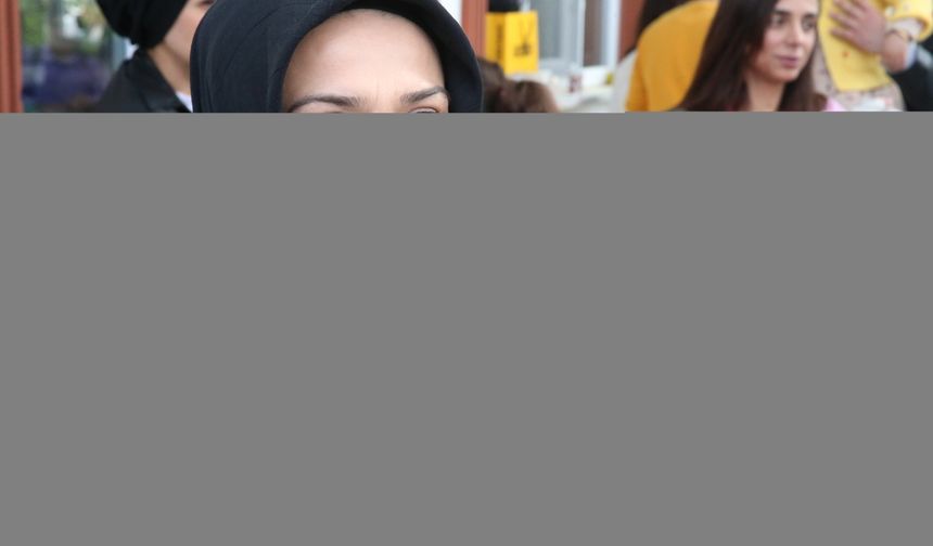 Tokat'ta kedi güzellik yarışması düzenlendi