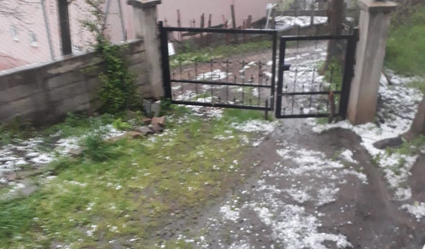 Tokat'ta şiddetli yağmur sonucu meydana gelen selde 35 koyun telef oldu