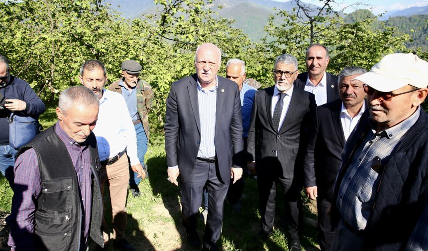 TZOB Genel Başkanı Bayraktar, Giresun'da zirai dondan etkilenen fındık bahçelerini inceledi