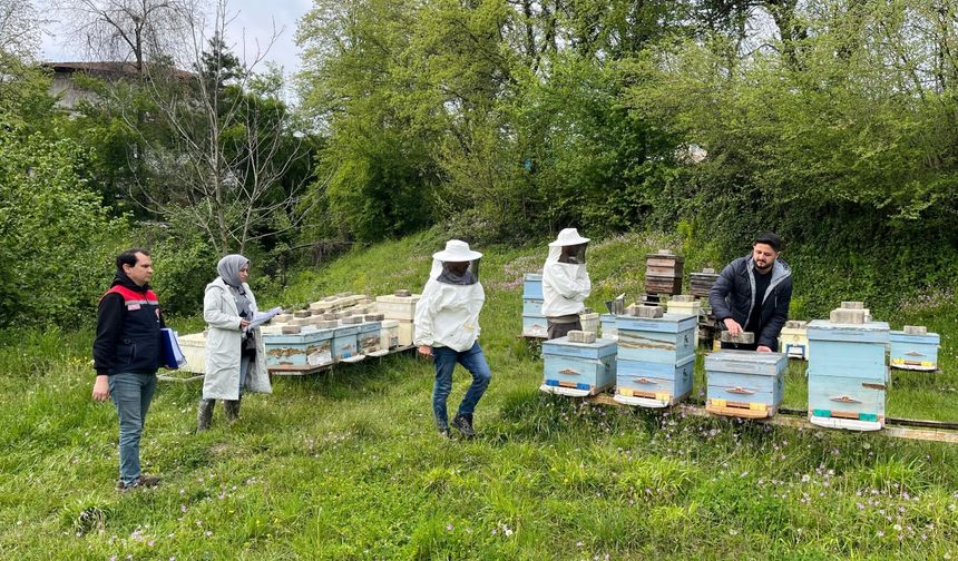 Yığılca'da "Hayvan Genetik Kaynaklarının Yerinde Korunması" projesi başlatıldı