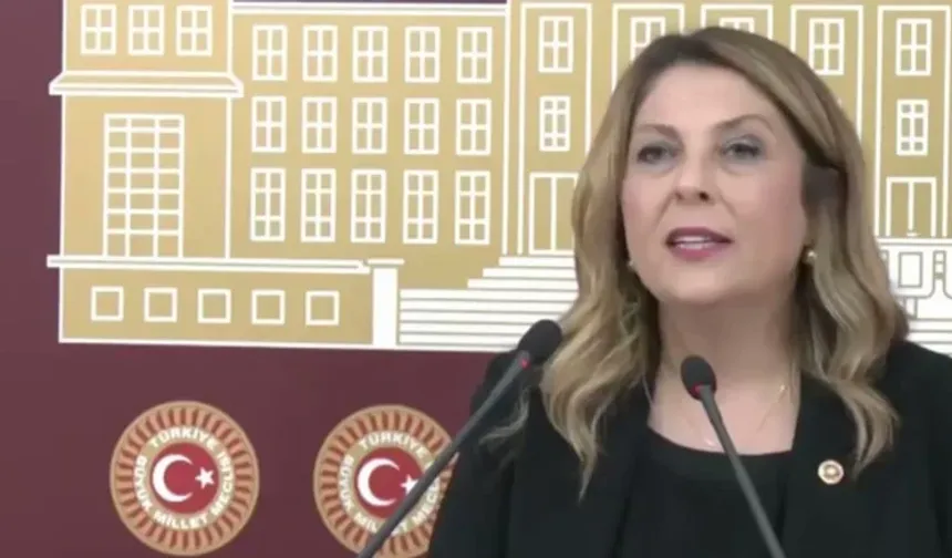 CHP'li vekilden 'Giresun' açıklaması: İhmallerin acı göstergesi