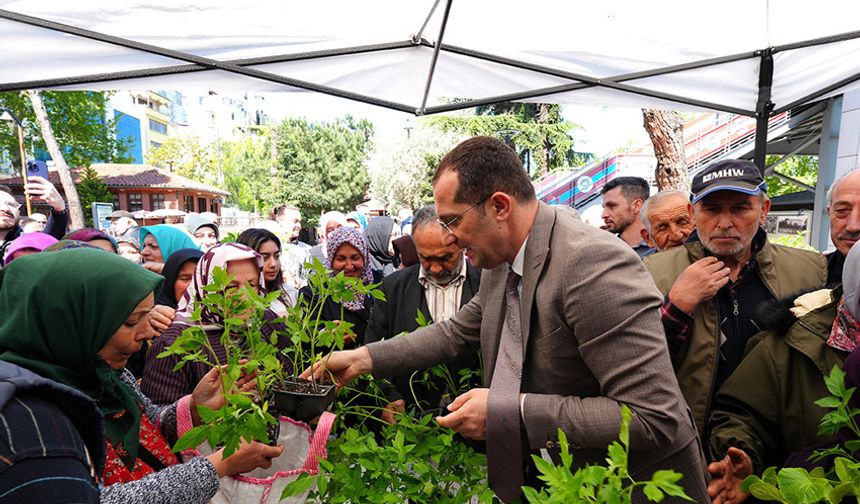 Akçaabat Belediyesi 10 Bin Adet Sebze Fidan Dağıttı