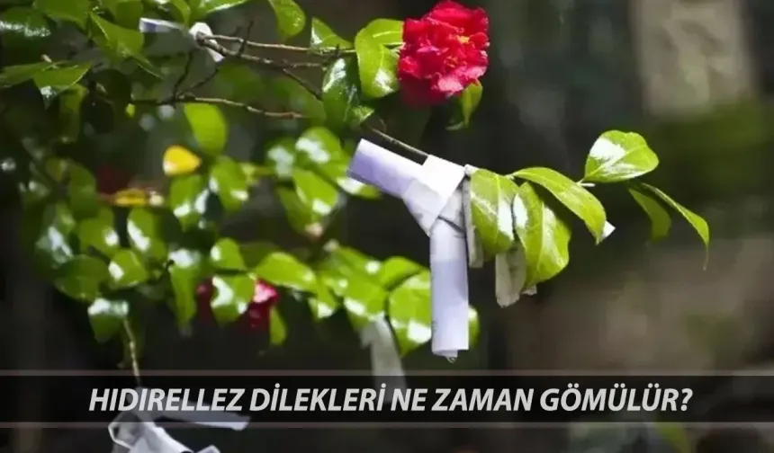 Hıdırellez Kutlamalarında Geleneksel Dilek Yazma Ritüeli: Hıdırellez'de Dileklerinizi Gömmenin En Özel Zamanı