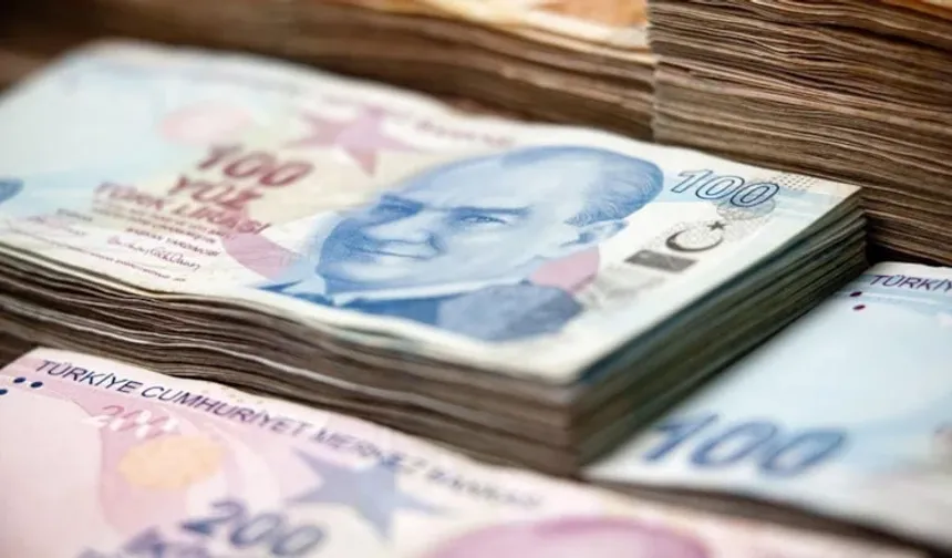 TL'de 6 ayın en keskin düşüşü