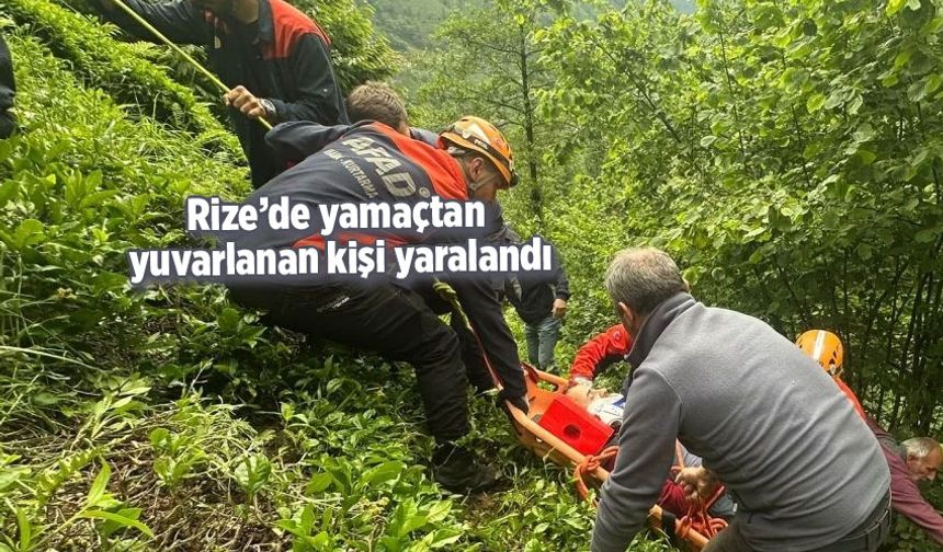 Rize'de çay hasat ederken yamaçtan yuvarlanan kişi yaralandı