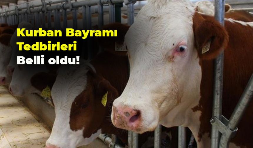 Rize İl Kurban Hizmetleri Komisyonu 2025 Yılı Kurban Bayramı Tedbirlerini Belirledi