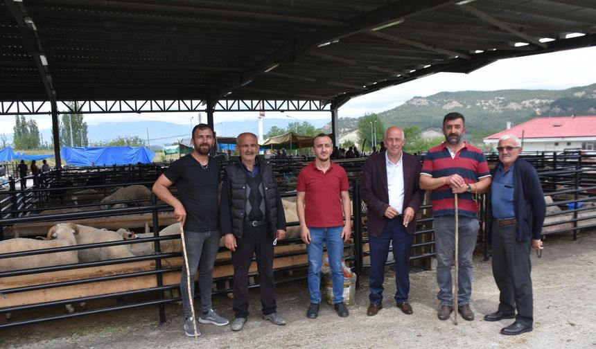 Boyabat ilçesinde canlı hayvan pazarı açıldı