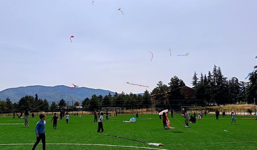 Dodurga'da uçurtma yarışması yapıldı