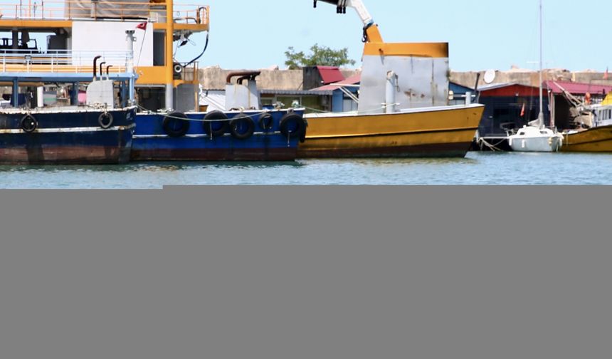 Giresun'da kaçtıktan sonra denize atlayan kurbanlık, balıkçı kulübesinde yakalandı