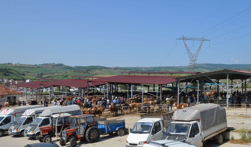 Havza Belediyesi Kurban Bayramı dolayısıyla bir dizi tedbir aldı