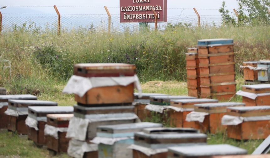 TOGÜ'de "Çocuklarımın Eğitimine Ürettiğim Balımla Destek Olacağım" projesi