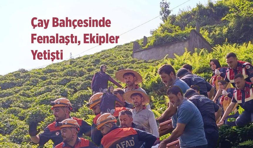 Çaylık Arazide Mahsur Kalan Vatandaş Kurtarıldı