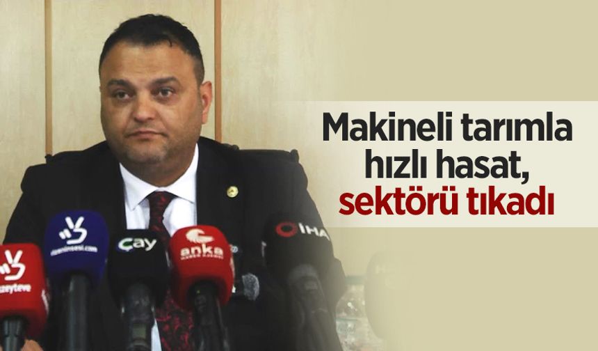 Rize Ziraat Odası Başkanı Arslan: Hasat dönemine kısa süreli ara verilmesi gerekir