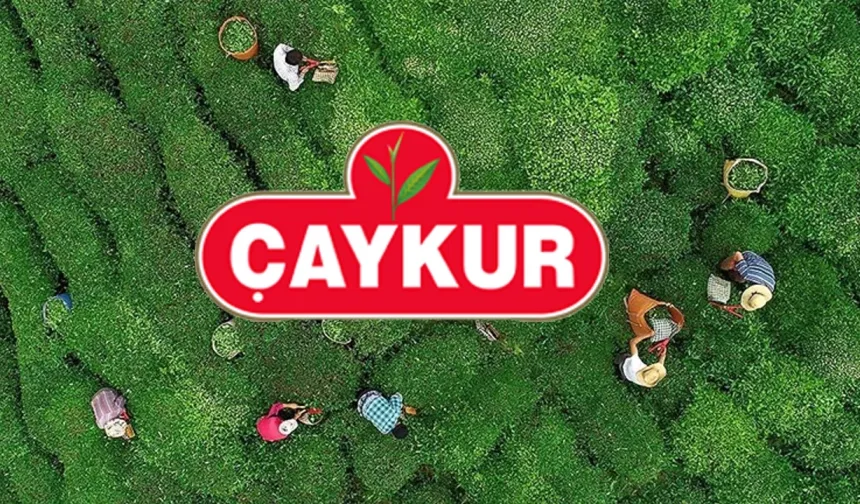 ÇAYKUR’dan üreticilere duyuru: Yaş çay alımlarına 1 sün ara